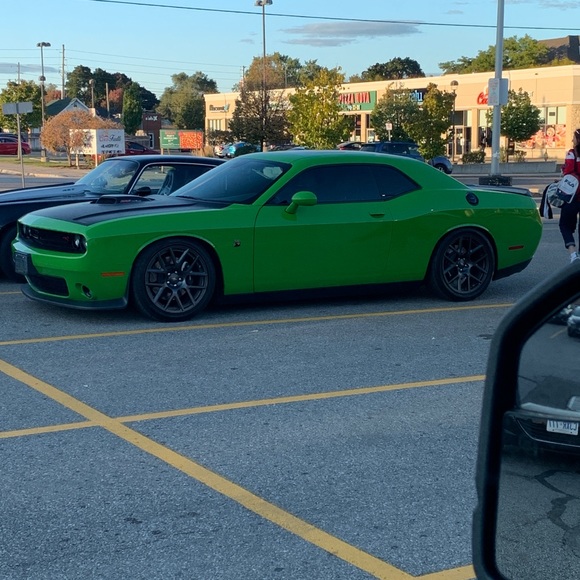 Meet your Posher, Anthony - Picture 1 of 1